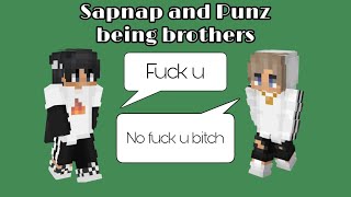 Sapnap and Punz fighting like brothers