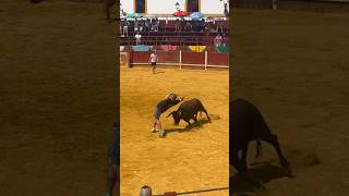 BUEN RECORTE A ESTA VACA EN EL VISO CORDOBA!! #toros #torospopulares #shrots