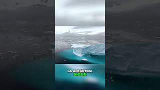 Descubriendo los misterios de la Antártida  las cataratas de sangre