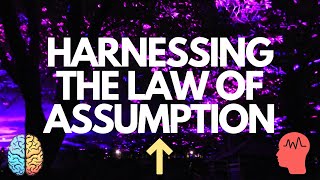 Harnessing The Law of Assumption - A Practical Guide