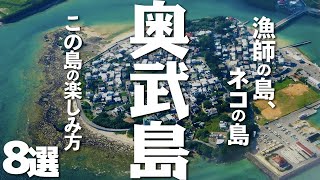 【沖縄観光】のどかな集落・神聖な場所そしてネコの島の奥武島で観光を満喫