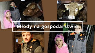 Młody na gospodarstwie - sprzedaż najsłabiej rosnących byków 2023