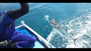 Cara Mancing / Tonda Ikan Tenggiri Agar Strike Bertubi ❗️How To Fishing Mackerel Fish