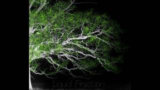 Liquid Fraction - The Forest Ambience - Deep Ambient Nature DuB - Feb 13th 2022.