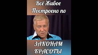 Пётр Гаряев. ЗАКОНЫ КРАСОТЫ#shorts