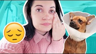 КАСТРИРАХМЕ ГО...😭🐶 | VLOG #84