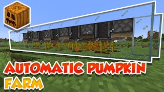 EASY Automatic Pumpkin Farm in Minecraft! (Bedrock & Java)