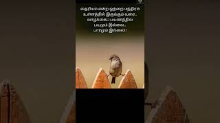 தமிழ் இலக்கிய கவிதைகள்💯 #shorts #ytshorts #trending #motivation #quotes #shortvideo #inspiration