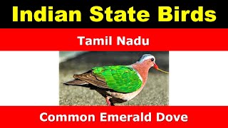 List of Indian state birds and Union territories Birds || DAG12621