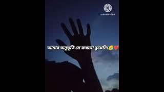 আমার অনুভূতি সে কখনো বুঝেনি🙂