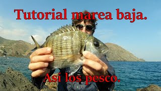 Tutorial: pesca a la espuma con marea baja.