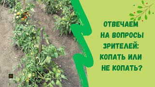 ☝Отвечаем на вопросы зрителей: Копать или не копать?