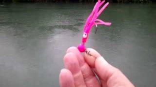 Skagit River Pink Salmon great catch in the rain using Pink Jigs