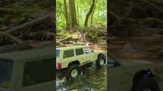 playing in the creek