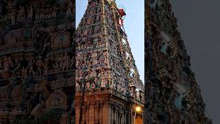 அழகு 💫😍🙏 Mylai Kapaleeshwarar Kovil | Chennai | Tamil Traveller #shorts #travel #blog