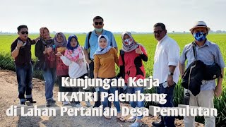 KUNJUNGAN KERJA IKATAN ALUMNI UNIVERSITAS TRIDINANTI PALEMBANG (IKATRI) DI LAHAN PERTANIAN SUMSEL