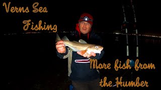 VERNS SEA FISHING | CATCHING CODLING MAKES LIFE BETTER WITH THE NORFOLK COD CATCHER IN LINCOLNSHIRE