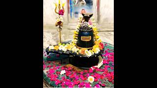 har har mahadev #harharmahadev #harharshambhu #youtubeshorts #shorts #shortsvideo #shortsfeed