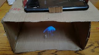 How to Make 3D Hologram