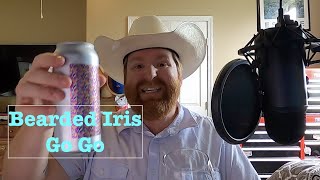 First Taste Beer Reviews: Bearded Iris / Finback GoGo