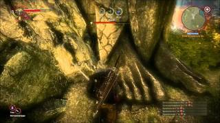 The Witcher 2 Gameplay - The Kayran