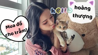 NHẬT KÍ NUÔI MÈO - MIMI CHỌN MÈO VÀ ĐỒ DÙNG CẦN THIẾT | MIMI OFFICIAL