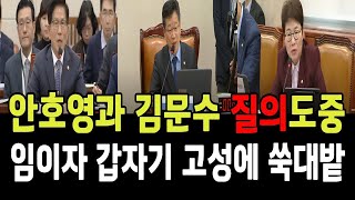 안호영위원장과 김문수장관 질의도중, 국힘당 임이자 갑자기 고성!! 결국 환노위 쑥대밭!