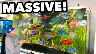 THE BIGGEST FRESHWATER COMMUNITY AQUARIUM IN TOWN!