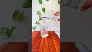 Upside Down Glass of Water | Experiment😲 #shorts #science