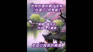 广场舞曲 - 《世间的酒你醉了没有 - 陶安平》 (抖音DJ 佰梦版)