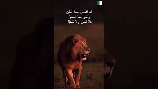 لا تظن ولا تتخيل #lion #الجزائر #اكسبلور #🇩🇿❤️🇵🇸 #sakitch1 #algeria