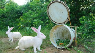 The First Unique DIY Wild Rabbit Trap Using Bottle U​-​90 With Wood​​​ - Easy Make Rabbit Trap