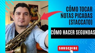 Notas Staccato, Picadas y Segundas en Sax - Tutorial RamirezSax  #ramirezsax #saxtutorial #altosax 🎷