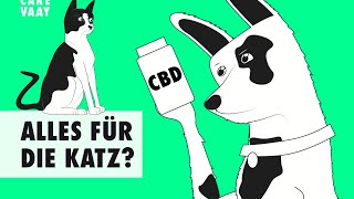 Wie wirkt CBD bei Tieren?