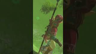 Link enjoying his time with shield surfing... #Shorts #botw #botwshorts #nintendo #zelda #viral