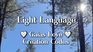 Light Language🤍Creation Codes✨Voice of the Forest🌲Language of the Birds🪶