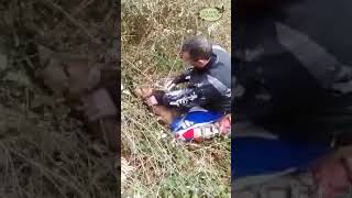 Chevreul sauvé par un motard, deer saved by a biker