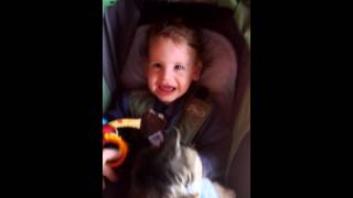 תומר והחתול Tomer and the cat