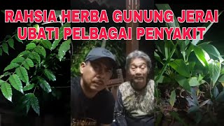 Mejar Fitri dan tok mat gunung jerai kongsi petua , amalan dan pokok herba gunung jerai