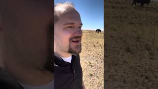 Big Bull behind me. Antelope State Park