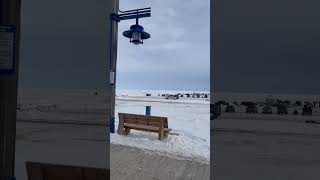 Gimli Ice Festival 2024 / Shorts