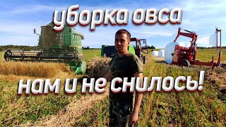 Наша первая уборка овса: на грани провала... Спасли урожай? Лоси и прыжки в высоту...