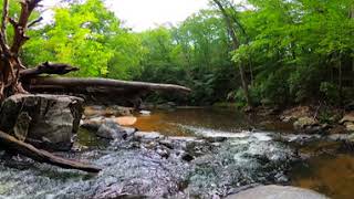 Relaxing 360 VR - Gentle Creek In The Forest - 4K