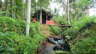 Suasana Pedesaan Yang Tenang Untuk Melepas Lelah, Kampung Tersembunyi Yang Damai Jauh Dari Keramaian