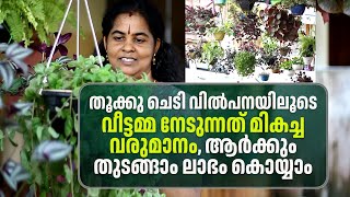 Hanging Plants വിൽപനയിലൂടെ House Wife നേടുന്നത്‌ മികച്ച വരുമാനം, ആർക്കും തുടങ്ങാം ലാഭം കൊയ്യാം