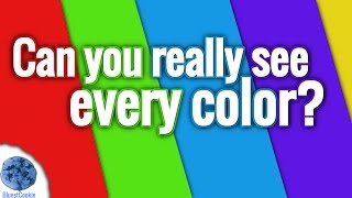 Are You Colorblind? (Color Test)