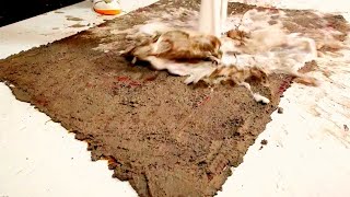 INSANE! Watch me clean my uncle's cement-filled carpet for unbelievably satisfying ASMR vibes!