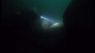 Dive Guernsey - Longue Pierre with Christophe - 6-11-19