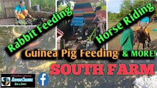 Exploring South Farm in Panglao Bohol