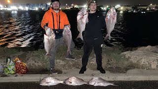 BEST PINK SNAPPER SESSION I'VE EVER HAD!! - North Mole/Fremantle